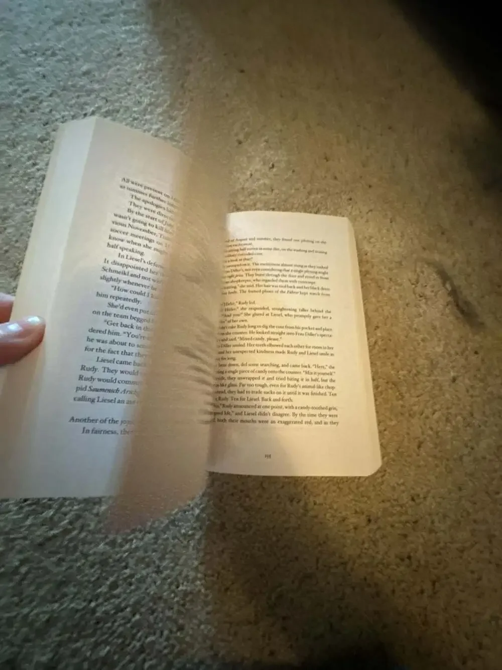 Alfred A. Knopf book thief